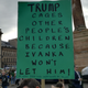 Illustration for article titled Scottish anti-Trump photo dump (long and comprehensive!)
